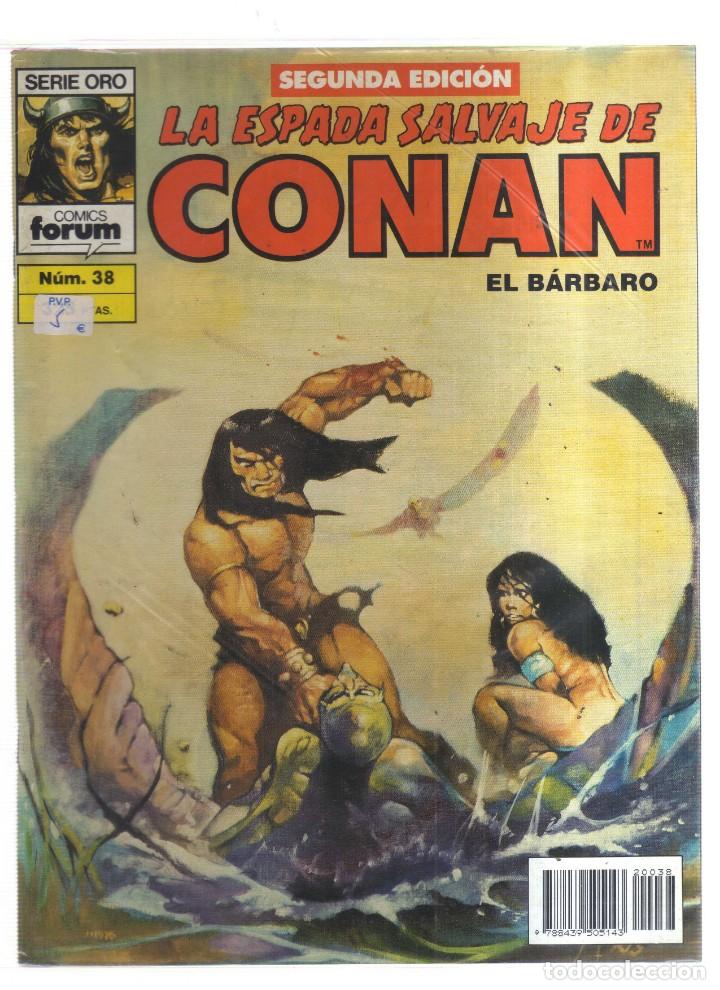 Tebeos: CONAN EL BARBARO  LA ESPADA SALVAJE N,38 - Foto 1