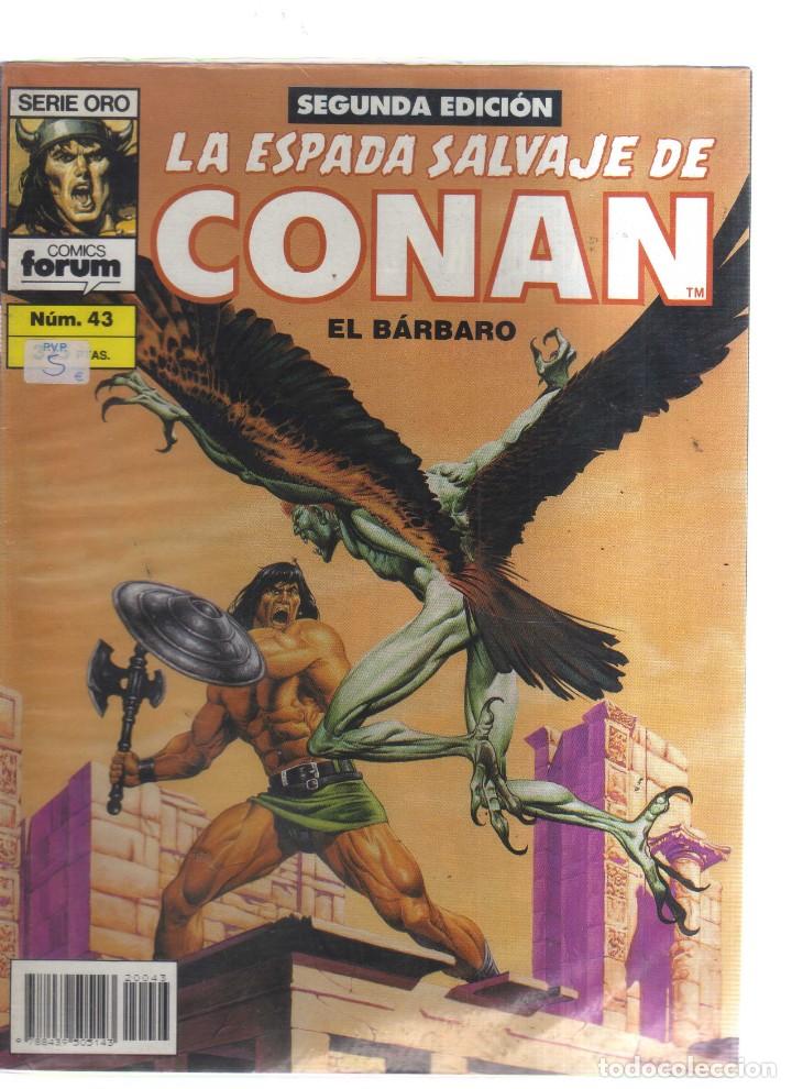 Tebeos: CONAN EL BARBARO  LA ESPADA SALVAJE N,43 - Foto 1