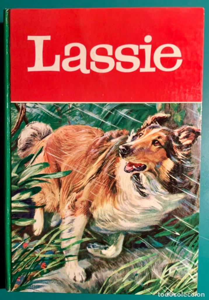 Tebeos: C&Oacute;MIC LASSIE EDITORIAL LAIDA A&Ntilde;O 1969 - Foto 1