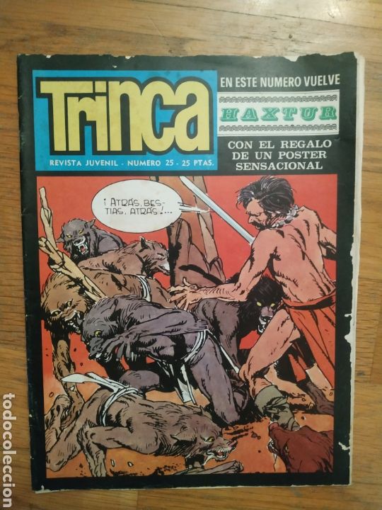 Tebeos: C&oacute;mic Trinca, n&uacute;m.25, 1 noviembre 1971 - Foto 1