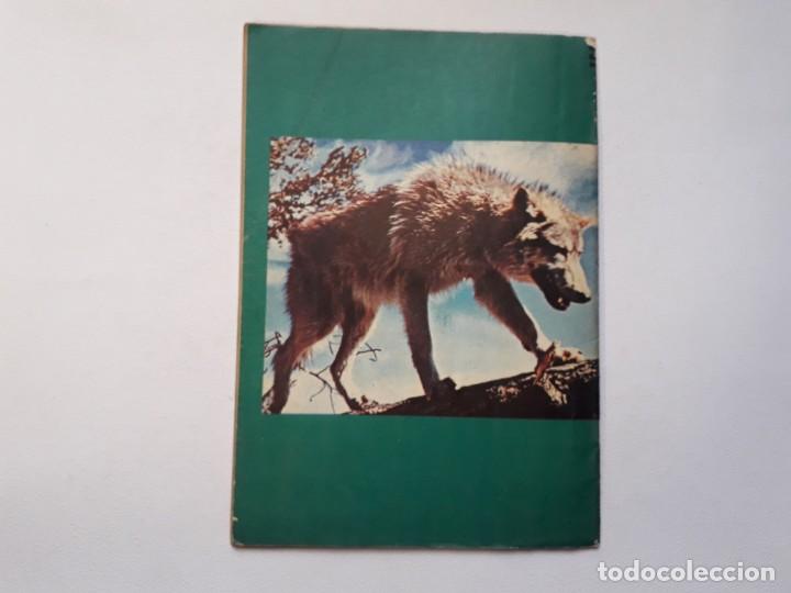 Tebeos: Tesoros de Walt Disneyn&ordm; 4 - original editorial Zig Zag (Chile) - Foto 4