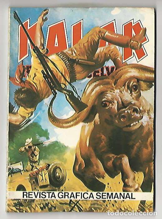 Giornalini: Producciones editoriales. Kalar. 41. Rey de la selva.