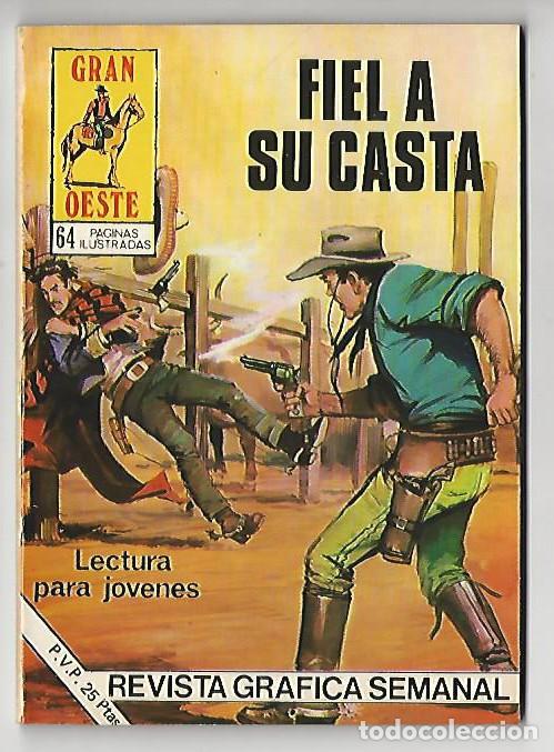 Giornalini: Producciones editoriales. 443. Gran oeste. Indomito. Salvaje.