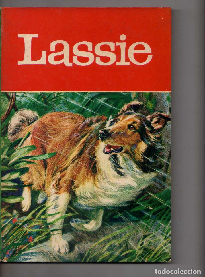 Tebeos: LASSIE EDICIONES LAIDA TAPA DURA 1969 - Foto 1