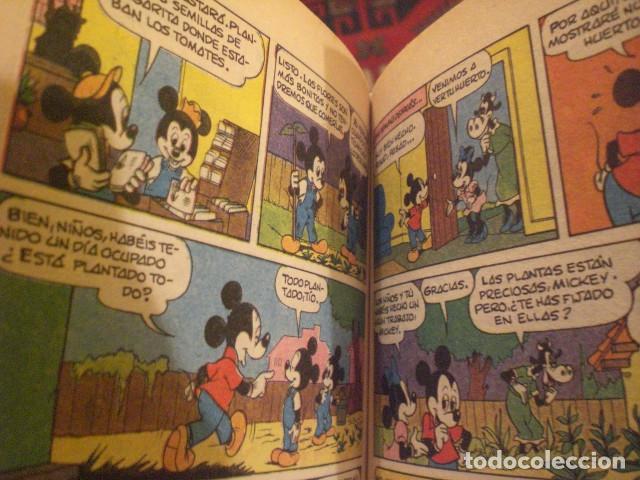 Tebeos: Pandillas Disney 6, Primavera 1991 - Foto 4