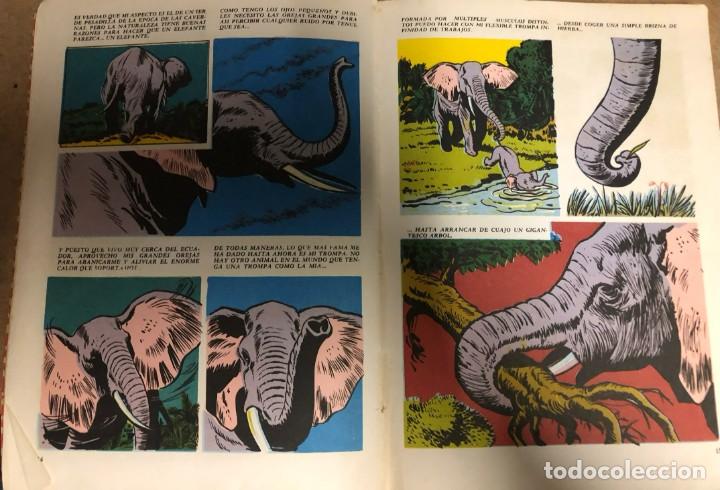 Tebeos: vendo COMICS - COLECCION DUMBO - WALT DISNEY - 5 ejemplares - Foto 8