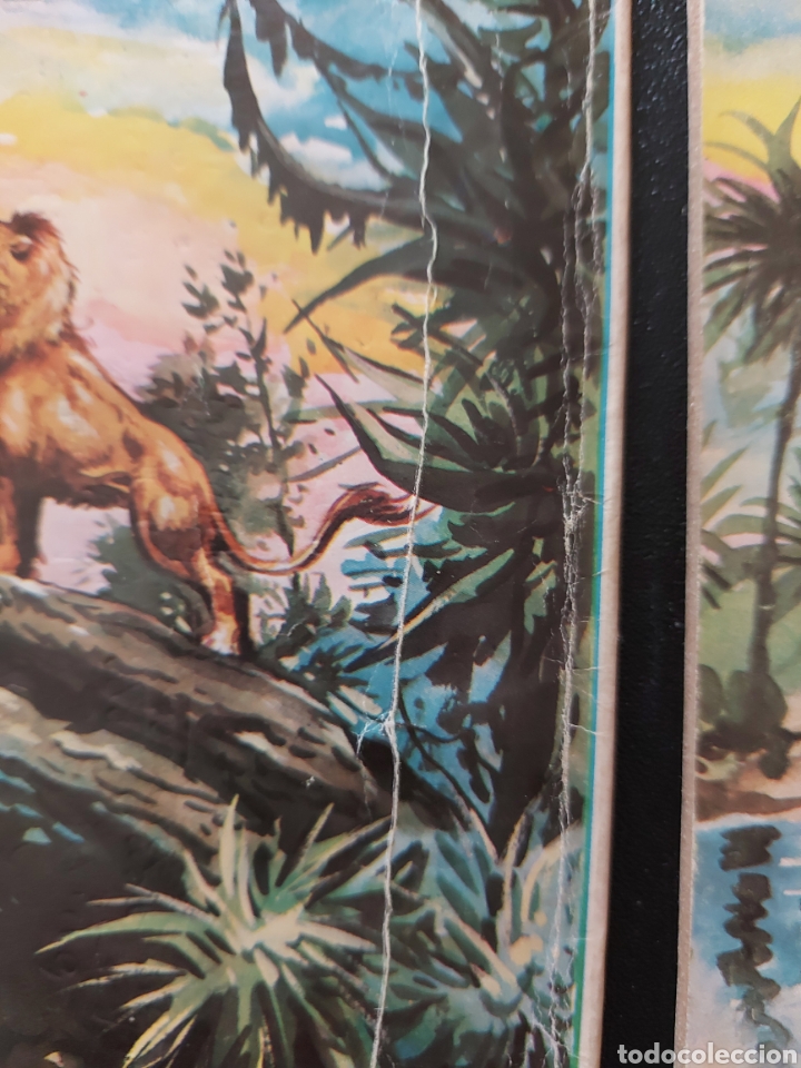 Tebeos: KALAR REY DE LA SELVA, LOTE DE TRES COMICS, REVISTA - Foto 8