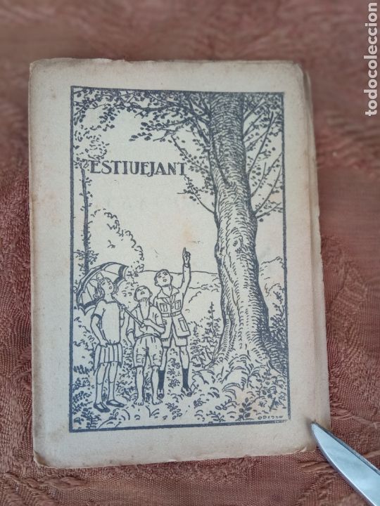 Tebeos: ESTIUEJANT,n&deg;529 - Foto 1