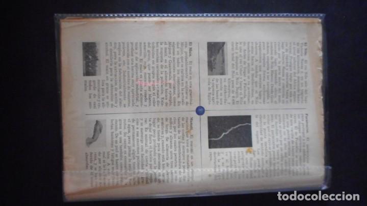 Tebeos: DICK TURPIN N&ordm; 12 / C-13 - Foto 2