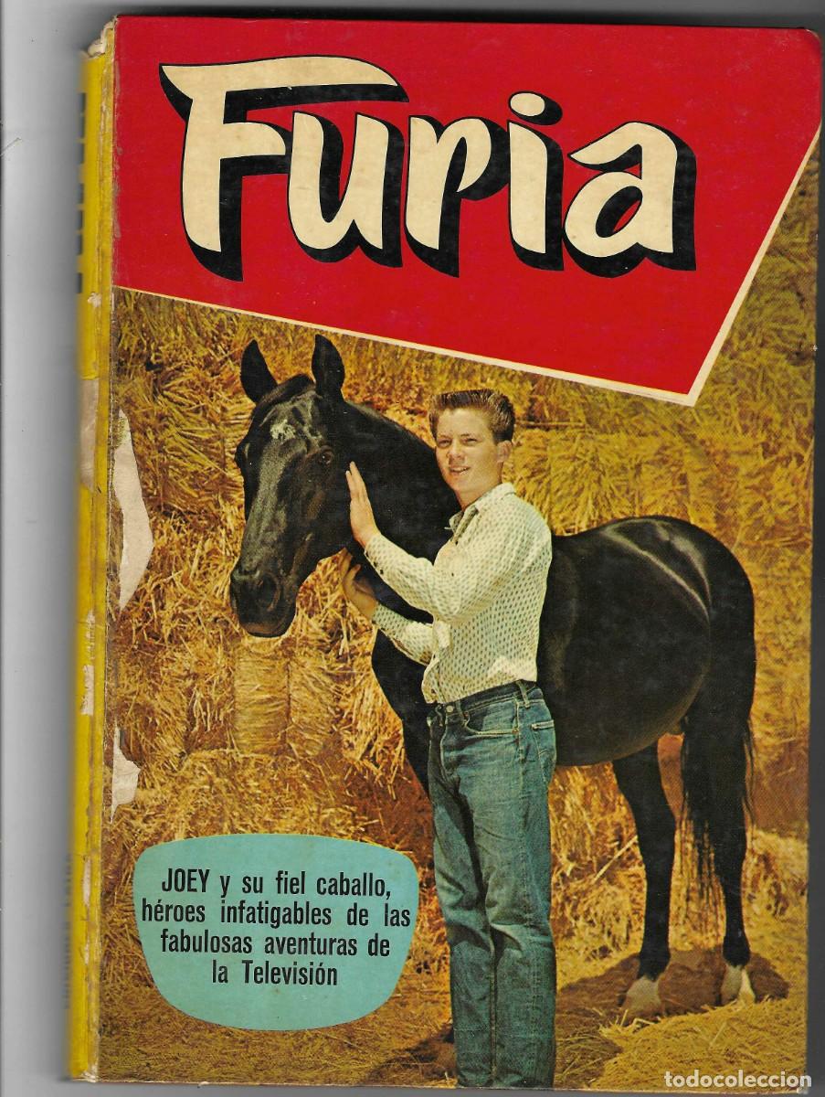 Tebeos: EDICIONES LAIDA -- FURIA - Foto 1