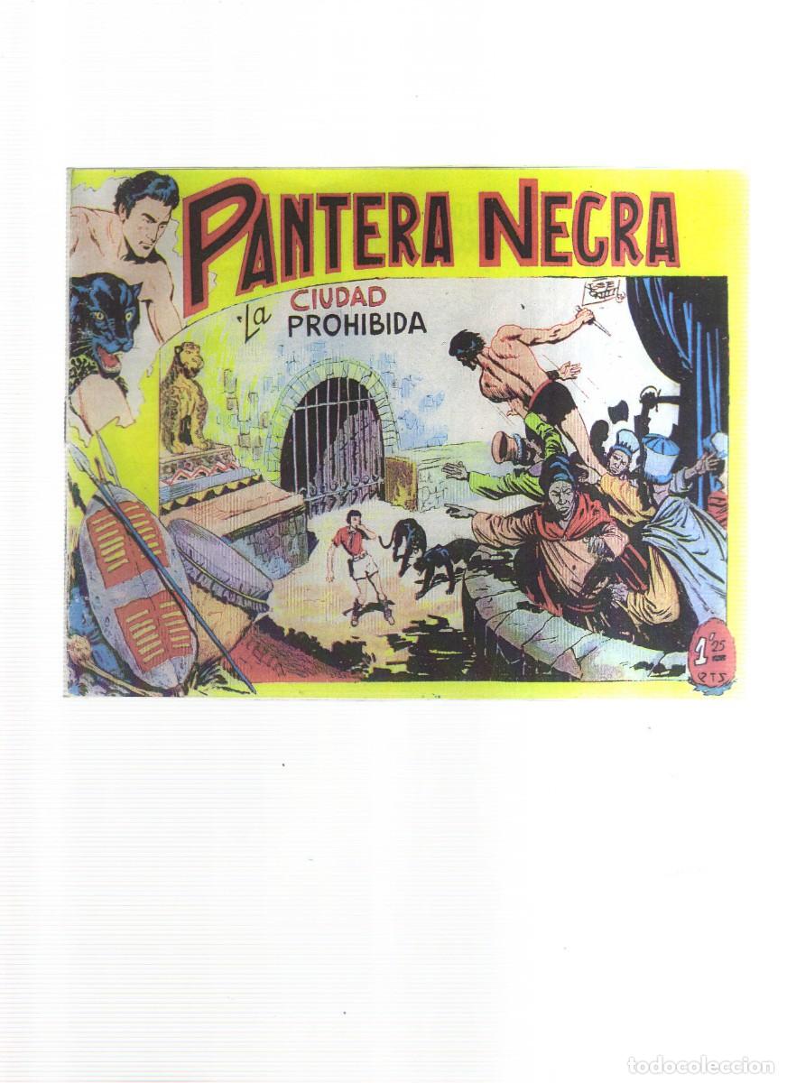 Tebeos: PANTERA NEGRA LA CIUDAD PROHIBIDA - Foto 1