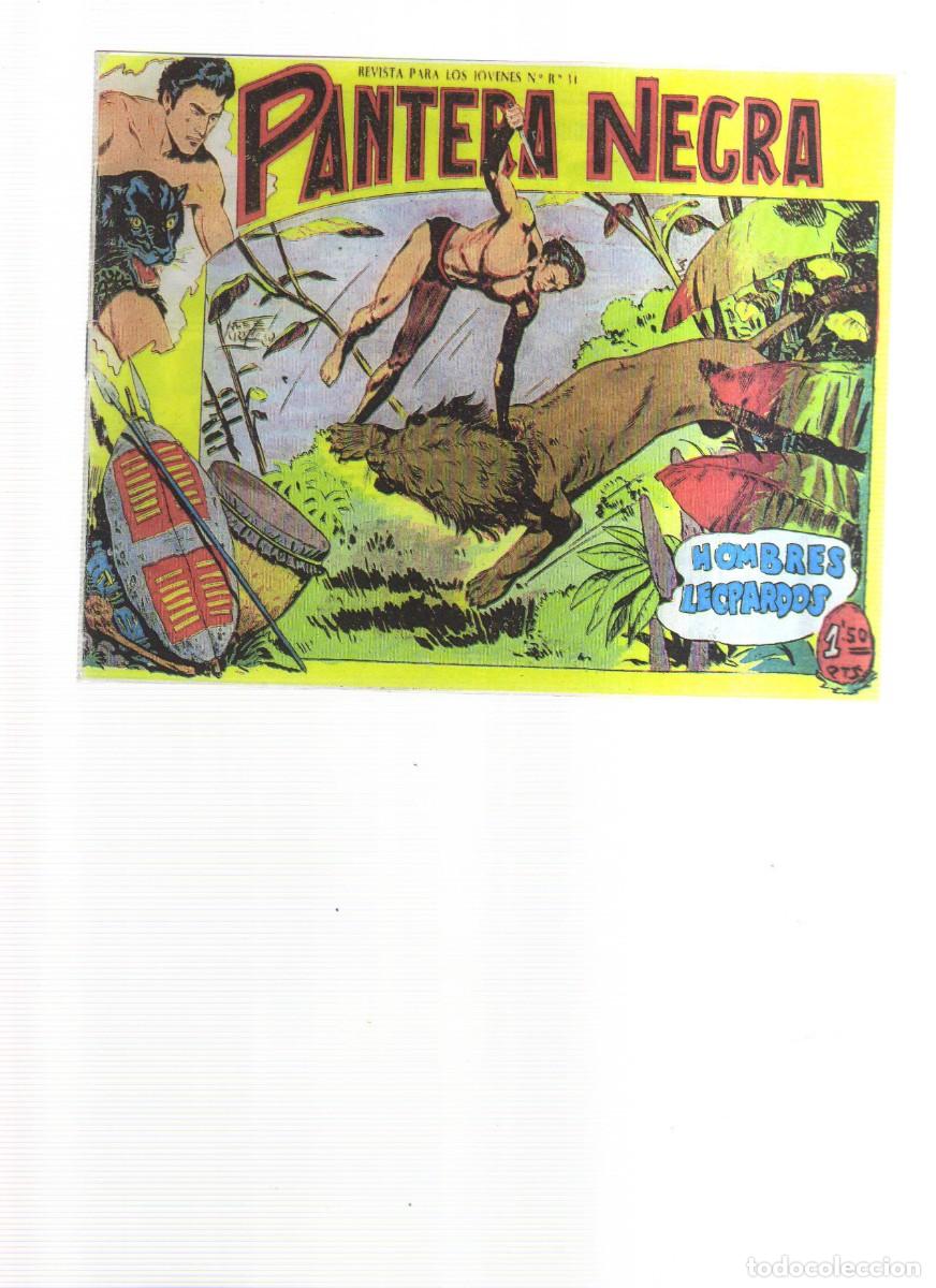 Tebeos: PANTERA NEGRA HOMBRES LEOPARDOS - Foto 1
