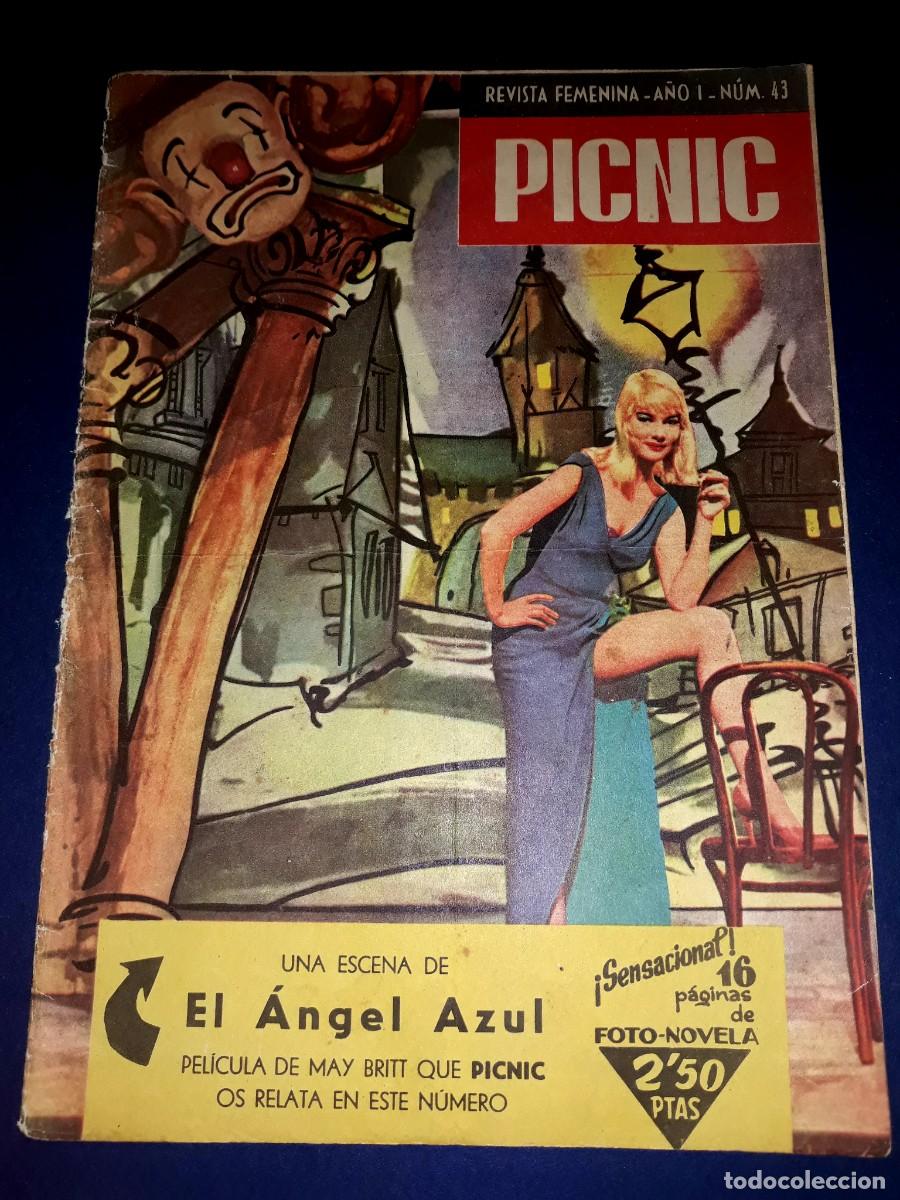 Tebeos: Picnic N&ordm; 43 - Foto 1