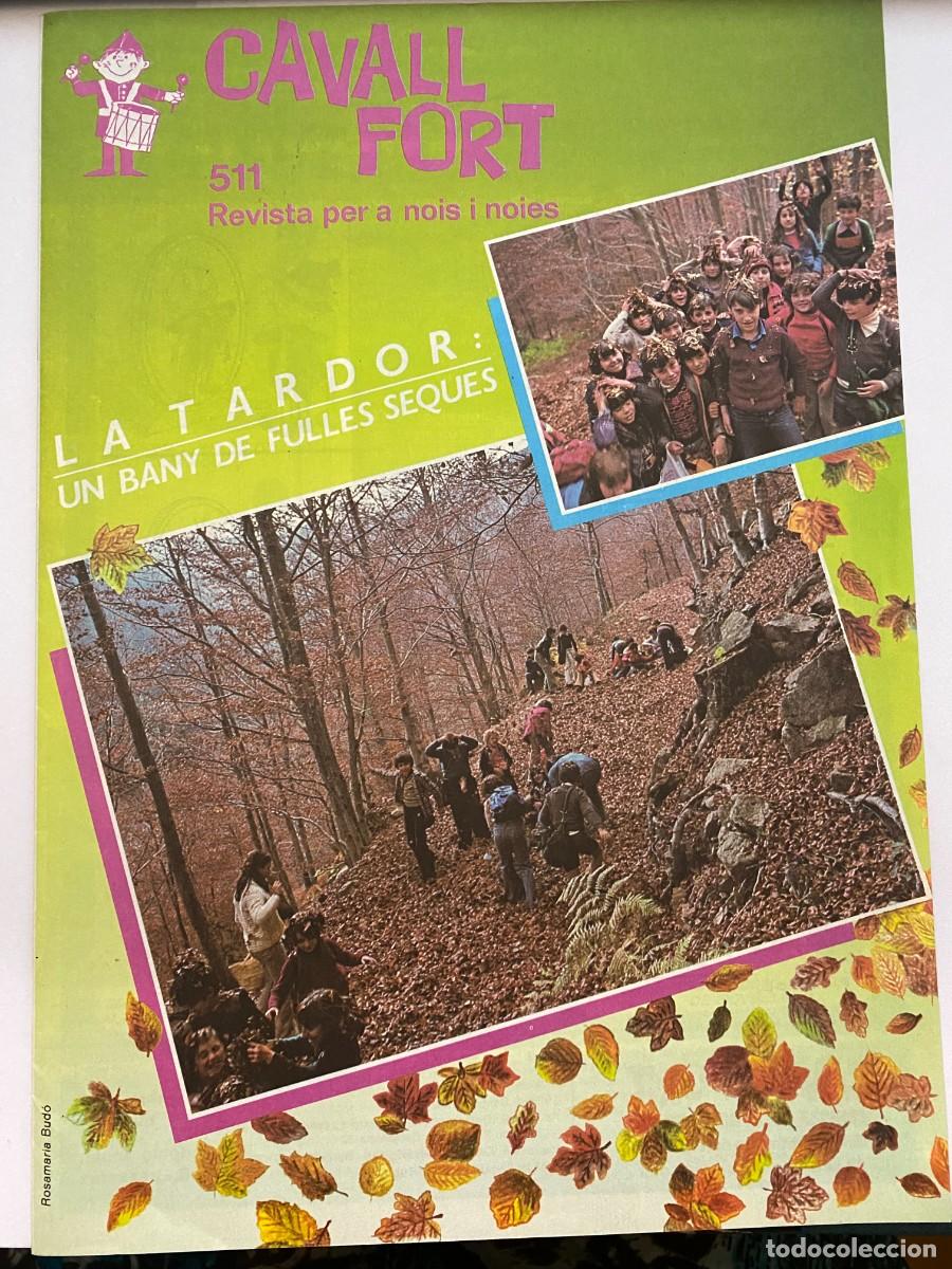 Tebeos: CAVALL FORT - N&ordm; 511 - NOVEMBRE 1983 - Foto 1