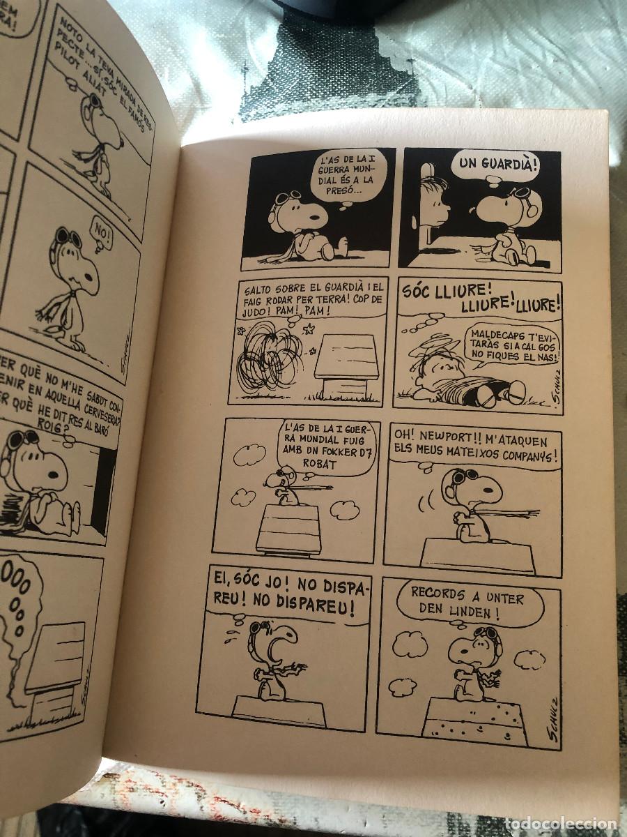 Tebeos: Snoopy / Peanuts - El Gos Unidimensional, de Charles Schulz. 1&ordf; edici&oacute;n: 1969. En catal&aacute;n. - Foto 2