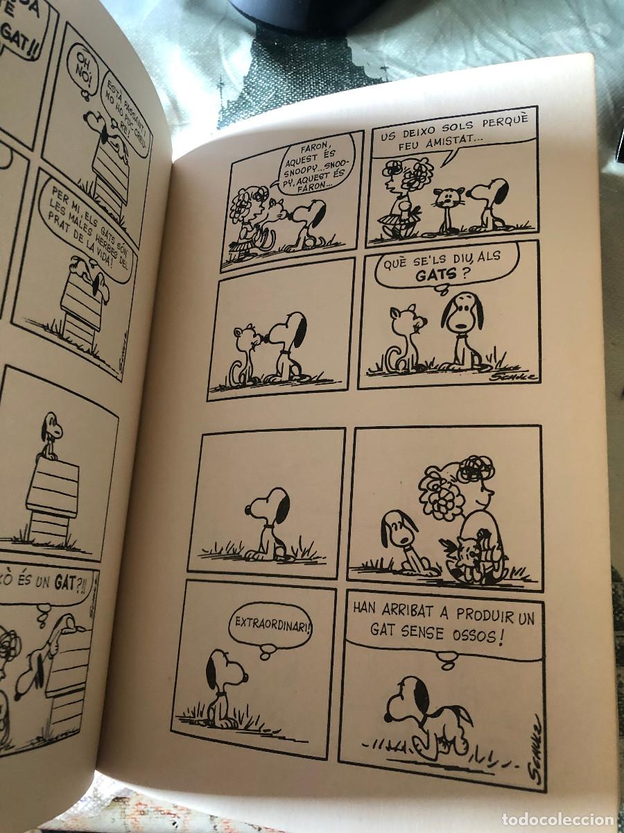 Tebeos: Snoopy / Peanuts - El Gos Unidimensional, de Charles Schulz. 1&ordf; edici&oacute;n: 1969. En catal&aacute;n. - Foto 3