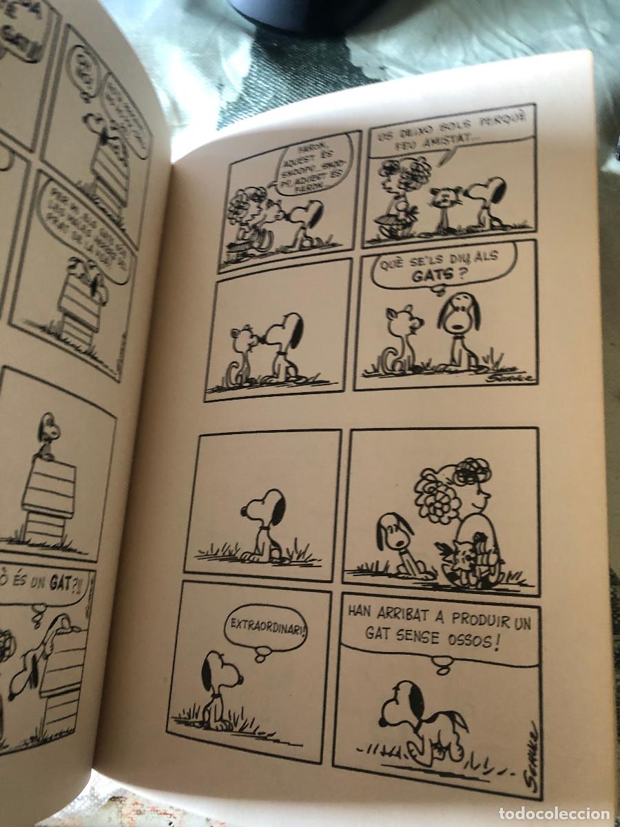 Tebeos: Snoopy / Peanuts - El Gos Unidimensional, de Charles Schulz. 1&ordf; edici&oacute;n: 1969. En catal&aacute;n. - Foto 4