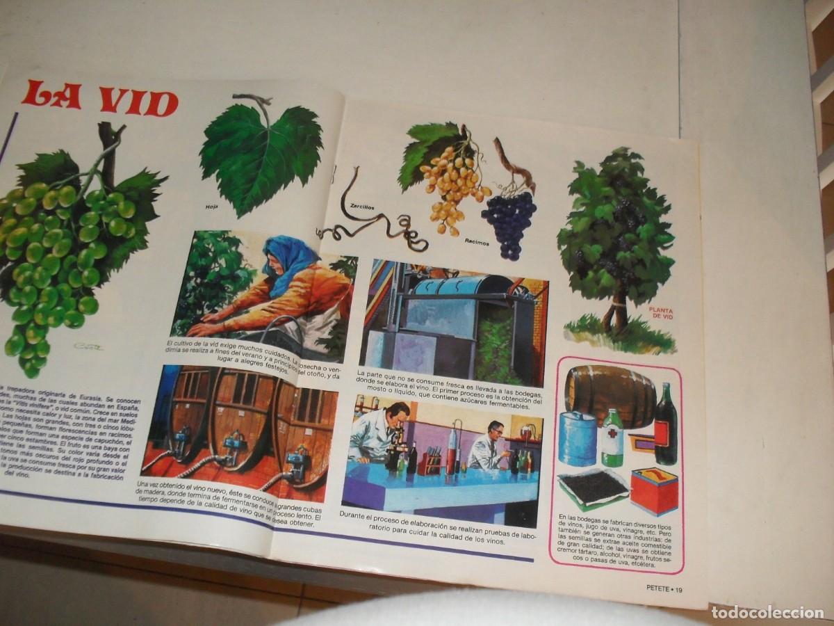 Tebeos: PETETE N&ordm; 43 CON POSTER DE LA VID,(DE 177).EDICIONES PTT,1982 - Foto 2