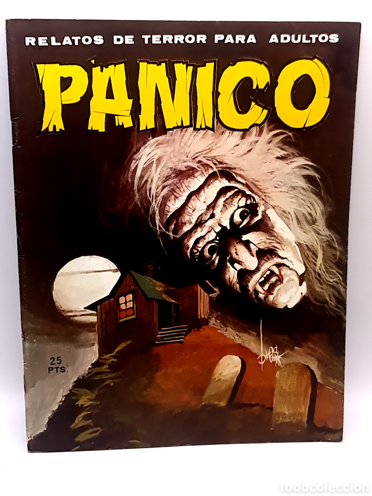 Tebeos: EXCELENTE ESTADO PANICO 7 EDITORIAL VILMAR GRAPA COMICS TERROR - Foto 1
