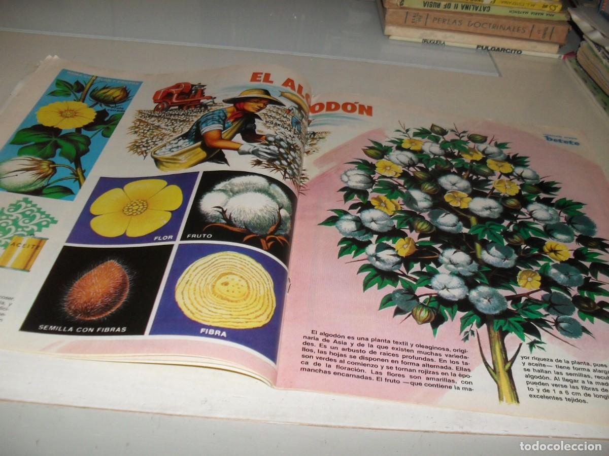 Tebeos: POSTER EL ALGODON,(PETETE 9).EDICIONES PTT,1982 - Foto 1