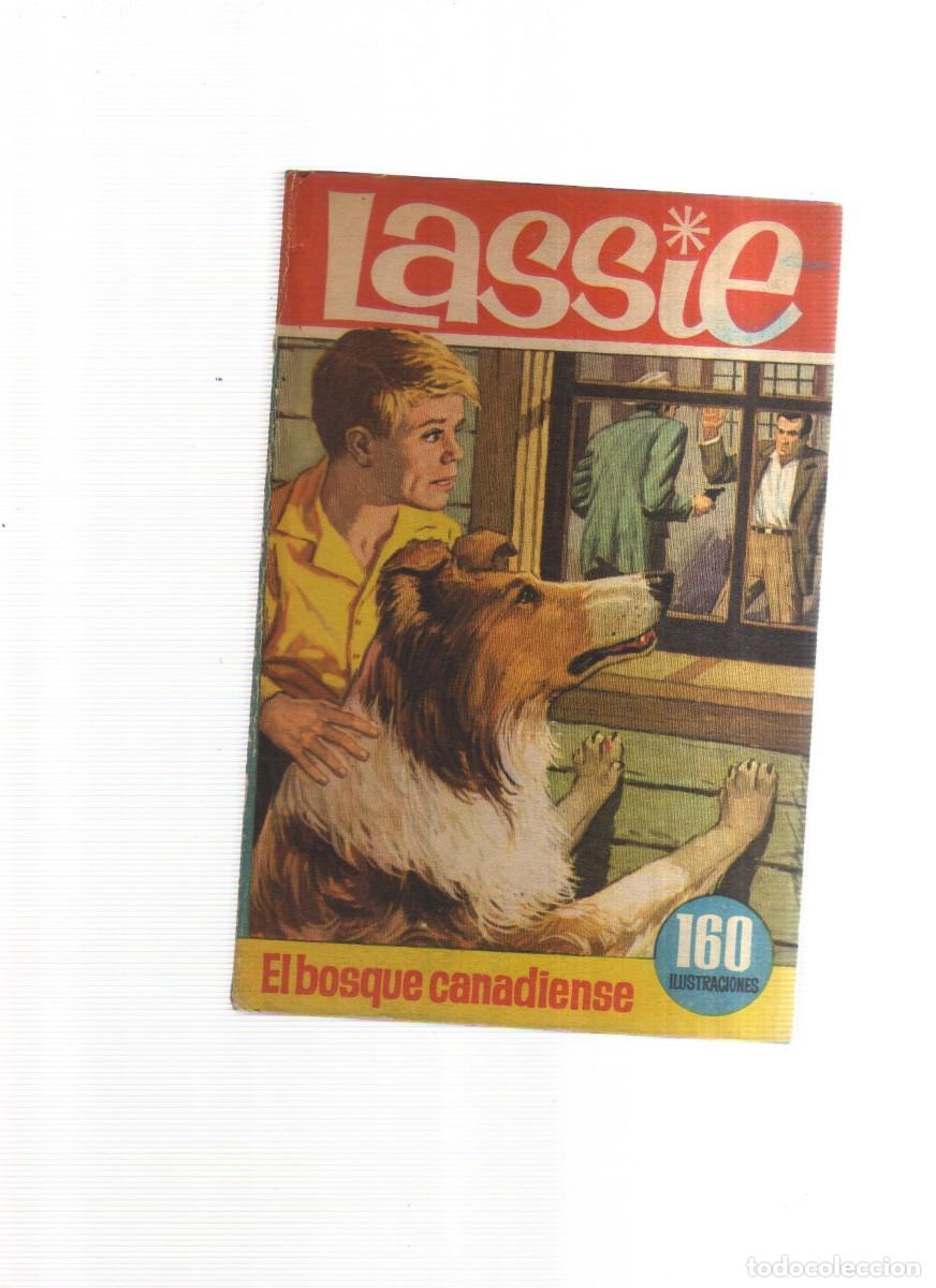 Tebeos: LASSIE EL BOSQUE CANADIENSE COLECCION HEROES - Foto 1