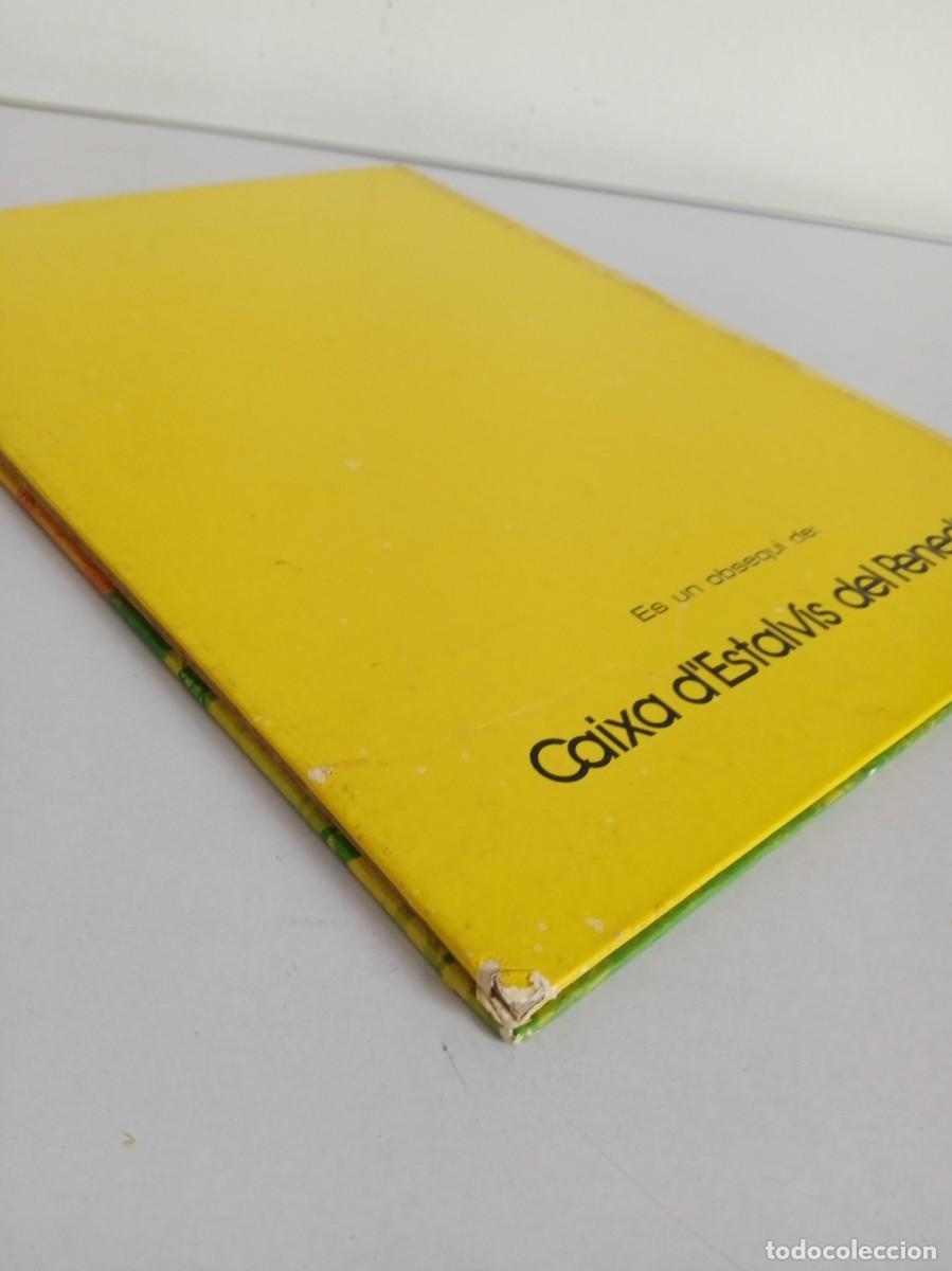 Tebeos: LABELLA MAIA Jaimes libros - Foto 5