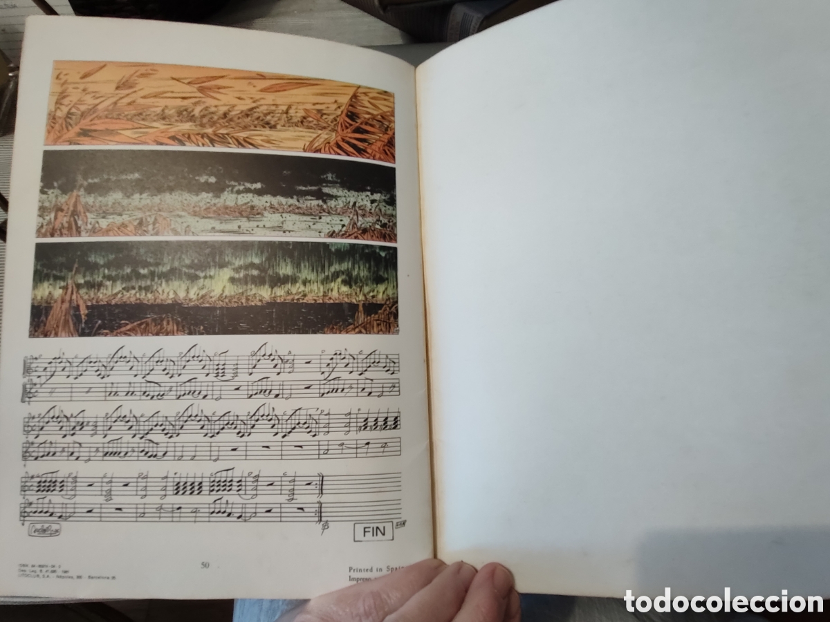 Tebeos: BALADA A MAILIS. SIMON, EL HOMBRE DE LOS R&Iacute;OS. C&oacute;mic. Claude Auclair. 1981. - Foto 6
