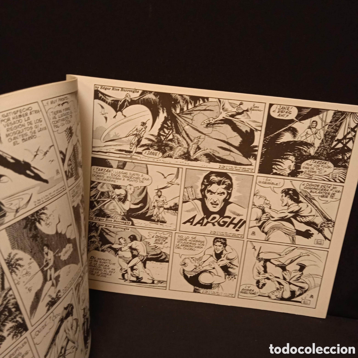 Tebeos: TARZAN DE RUSS MANNING - EDA B. O. (COMPLETA EN 10 N&ordm;S) - Foto 12
