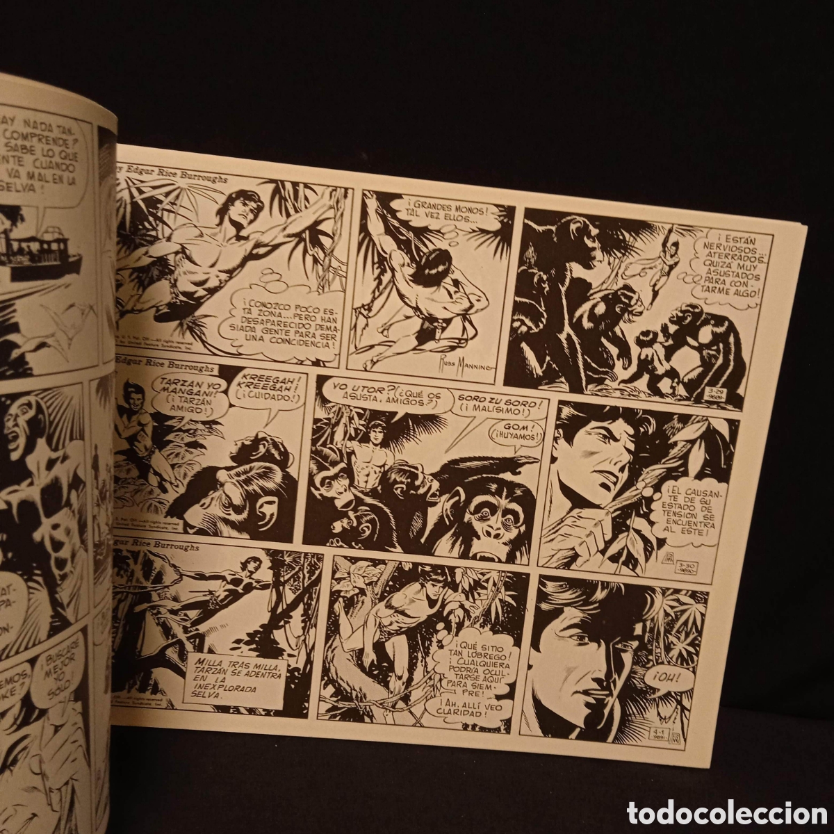 Tebeos: TARZAN DE RUSS MANNING - EDA B. O. (COMPLETA EN 10 N&ordm;S) - Foto 20