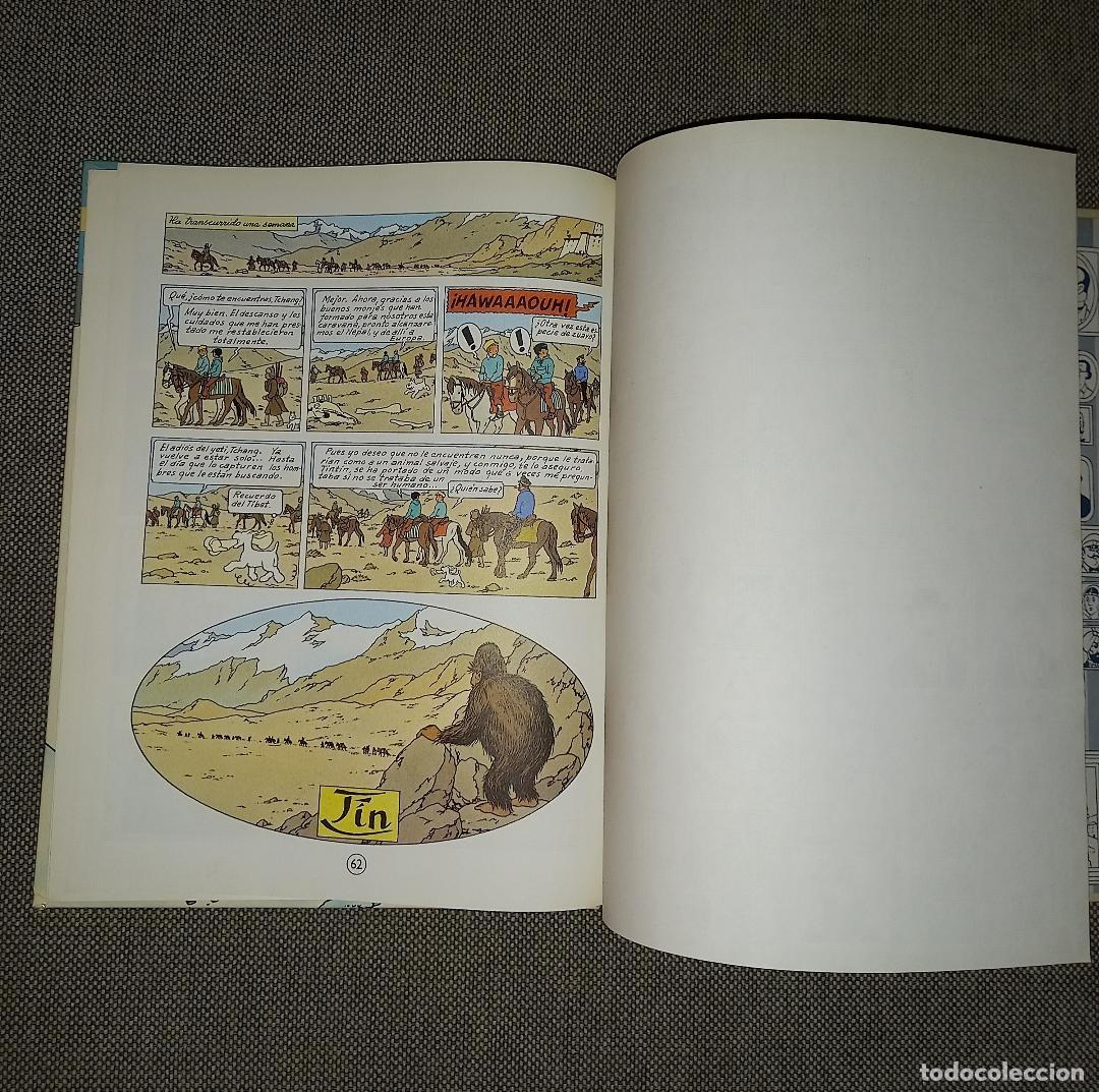 Tebeos: C&oacute;mic Tint&iacute;n en el Tibet 10&ordf; edici&oacute;n 1985 impecable - Foto 5