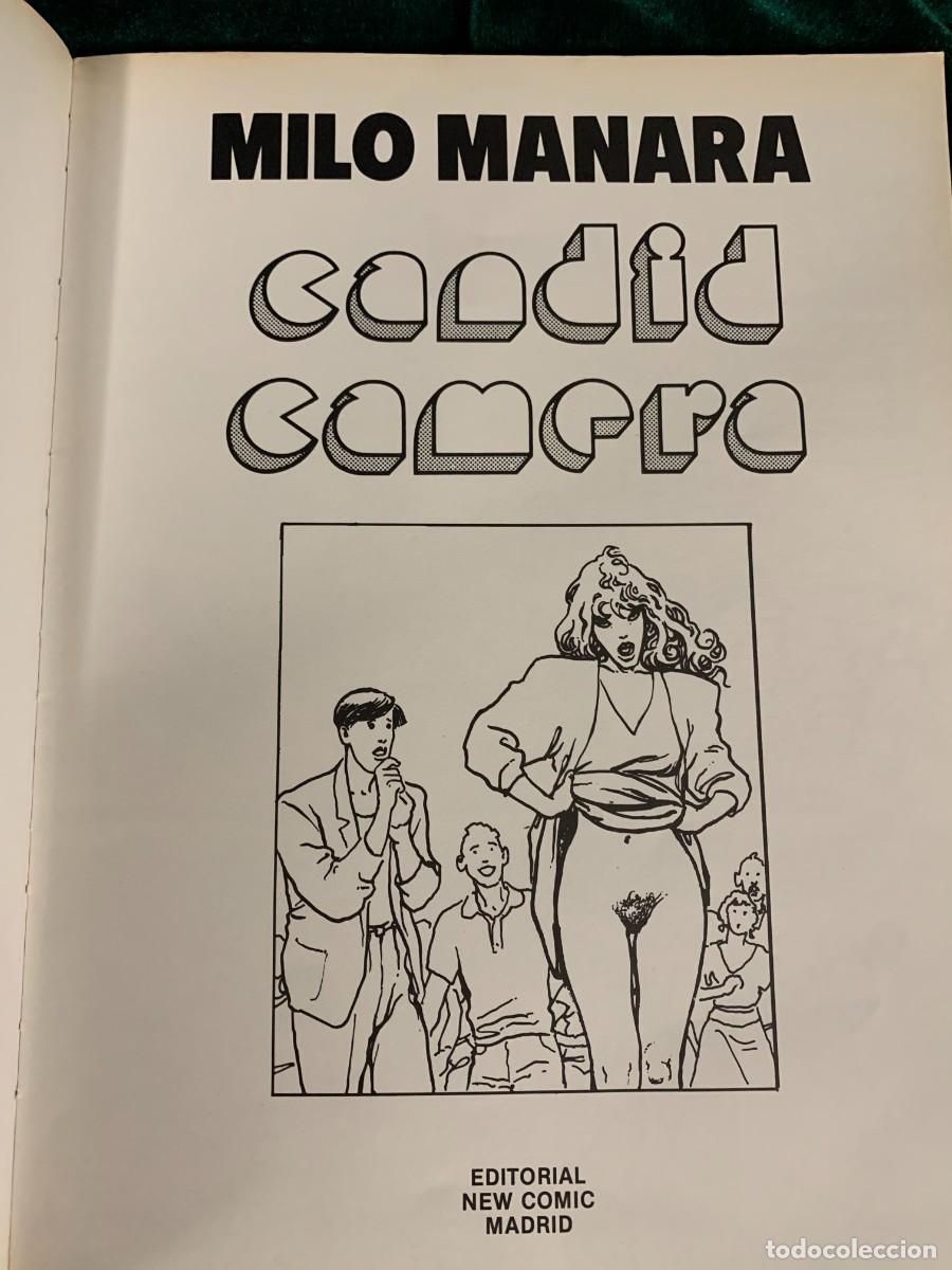Tebeos: COMIC ER&Oacute;TICO CANDID CAMERA - MILO MANARA - TOTEM - Foto 2