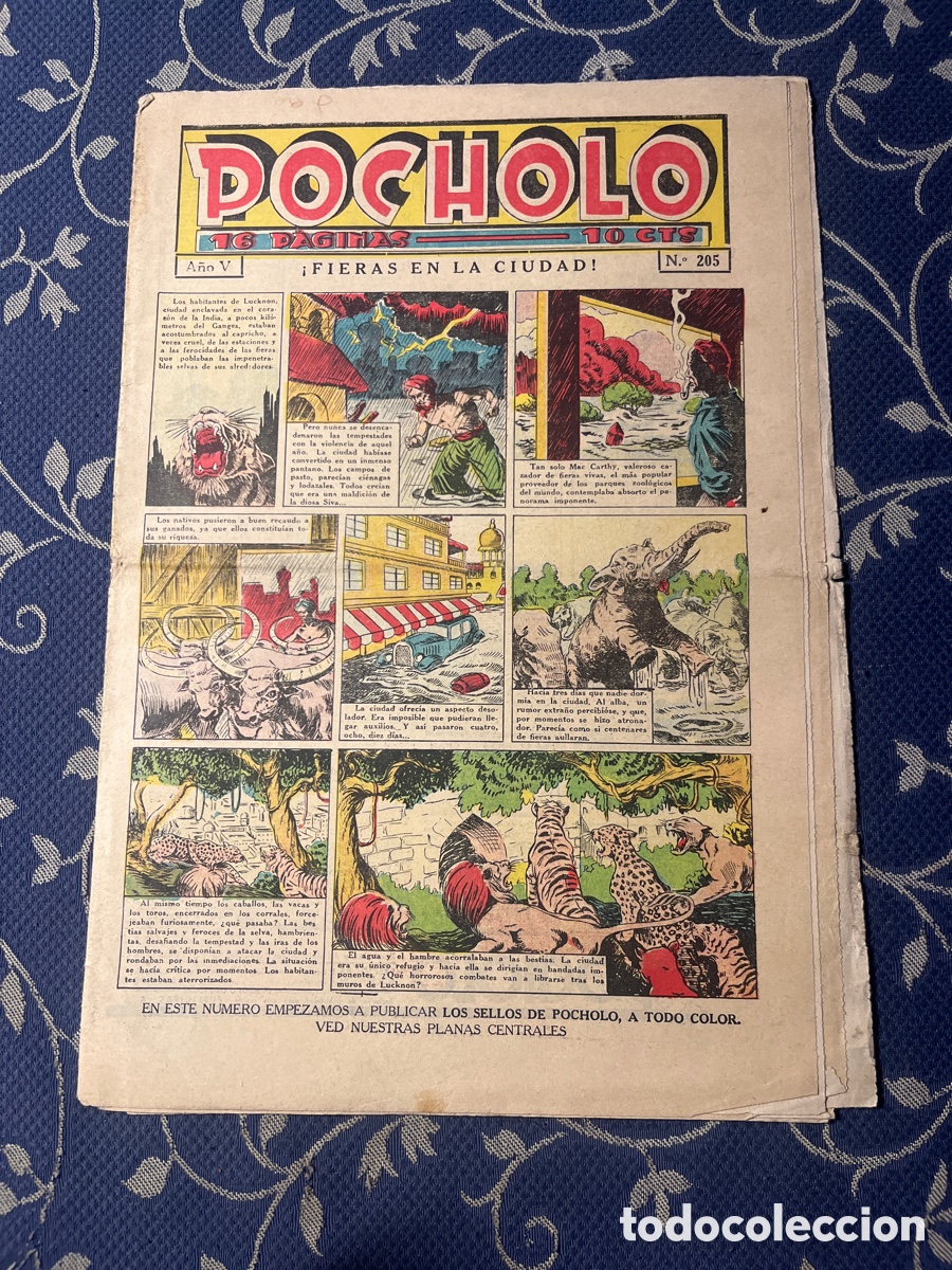 Tebeos: POCHOLO, N&Uacute;MERO 205, (CASANOVA) - Foto 1