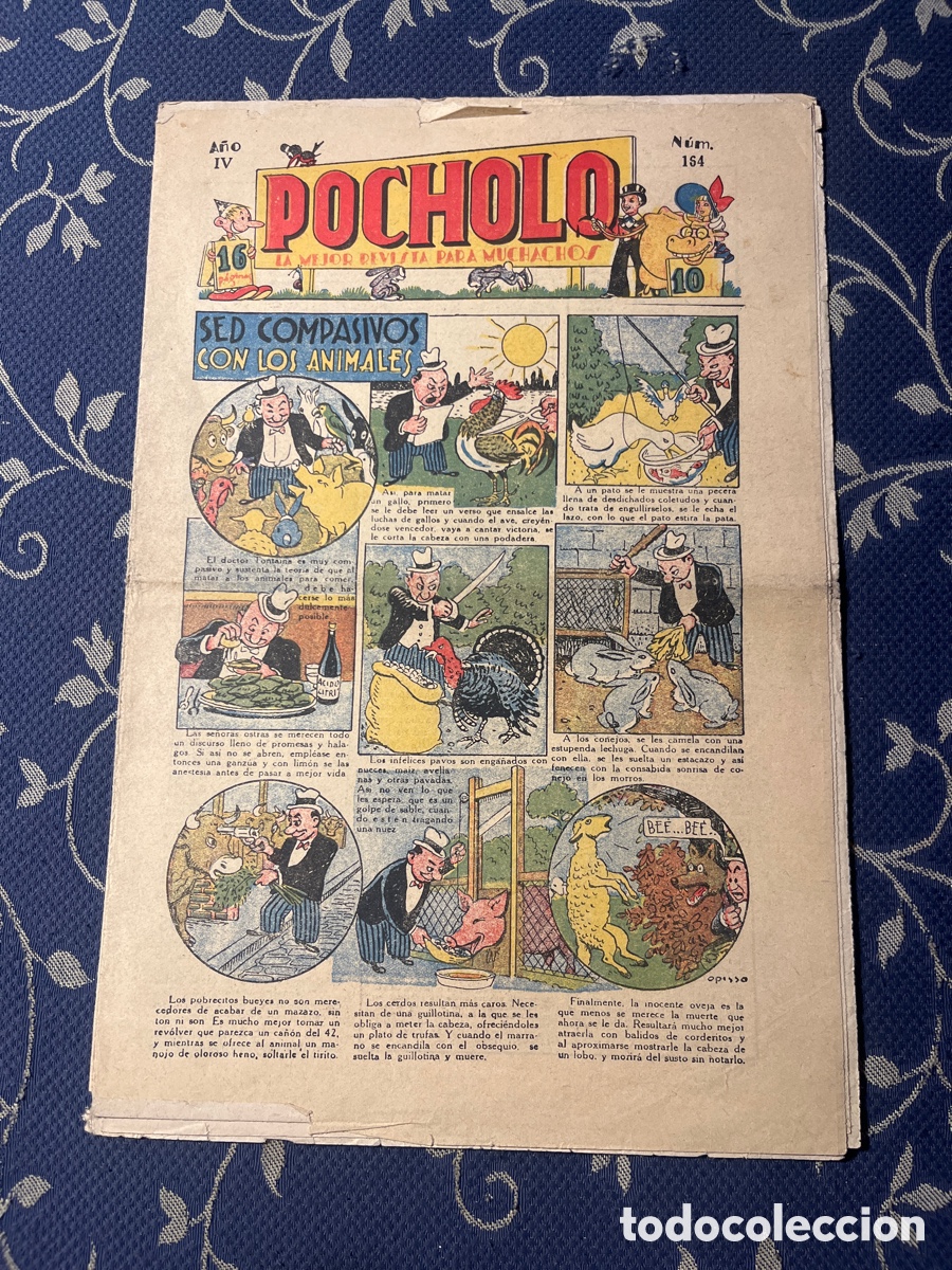 Tebeos: POCHOLO, N&Uacute;MERO 164, (S.VIVES) - Foto 1