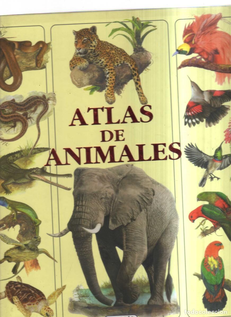 Tebeos: ATLAS DE ANIMALES SUSAETA - Foto 1