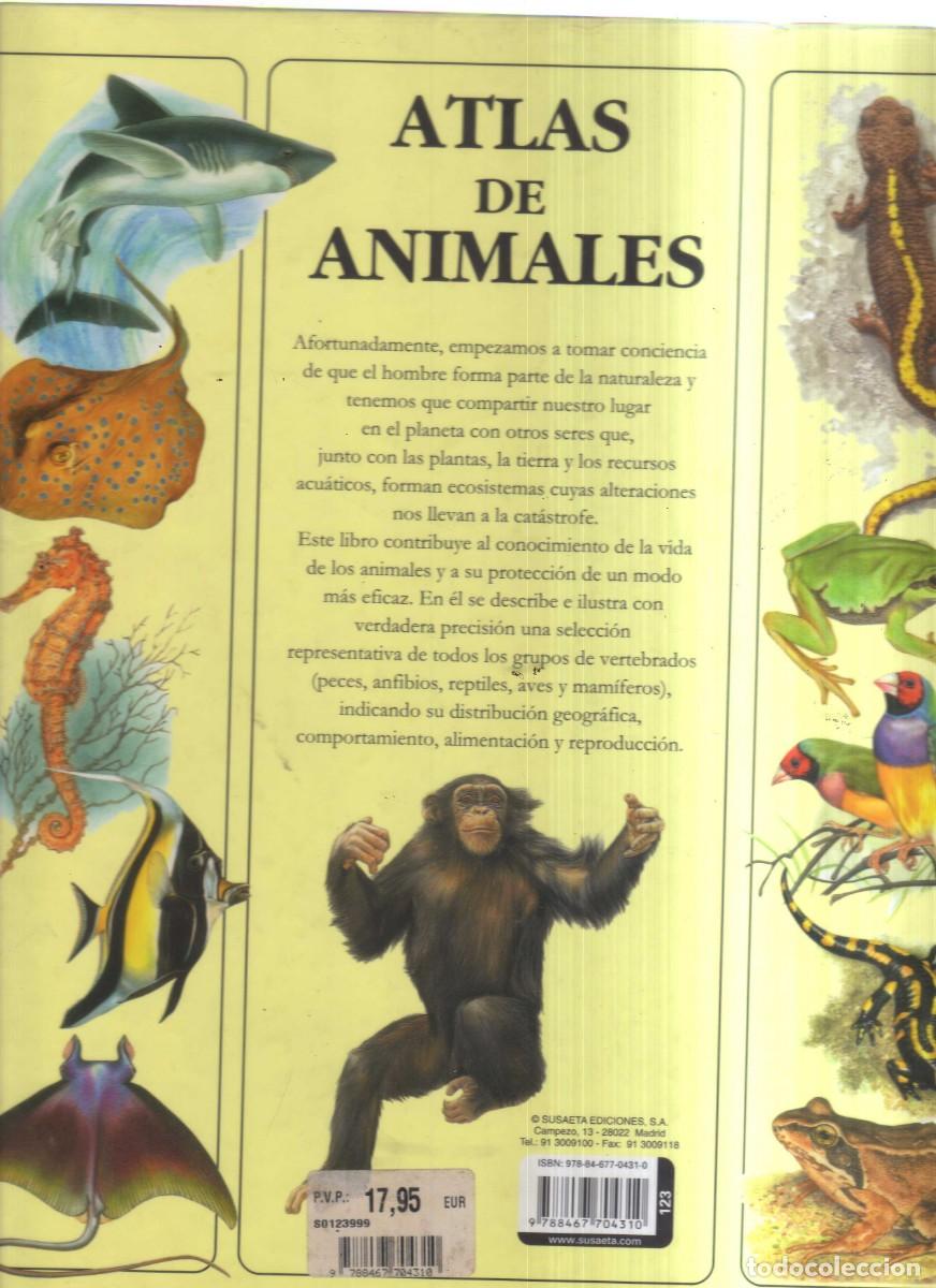 Tebeos: ATLAS DE ANIMALES SUSAETA - Foto 2