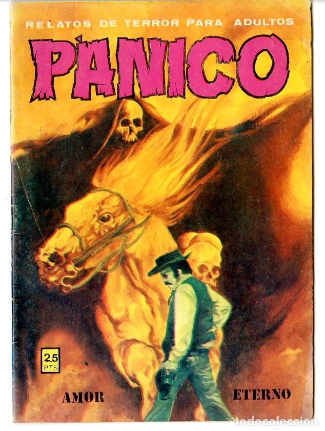 Tebeos: P&aacute;nico / Vilmar / 1975 / N.80 - Foto 1