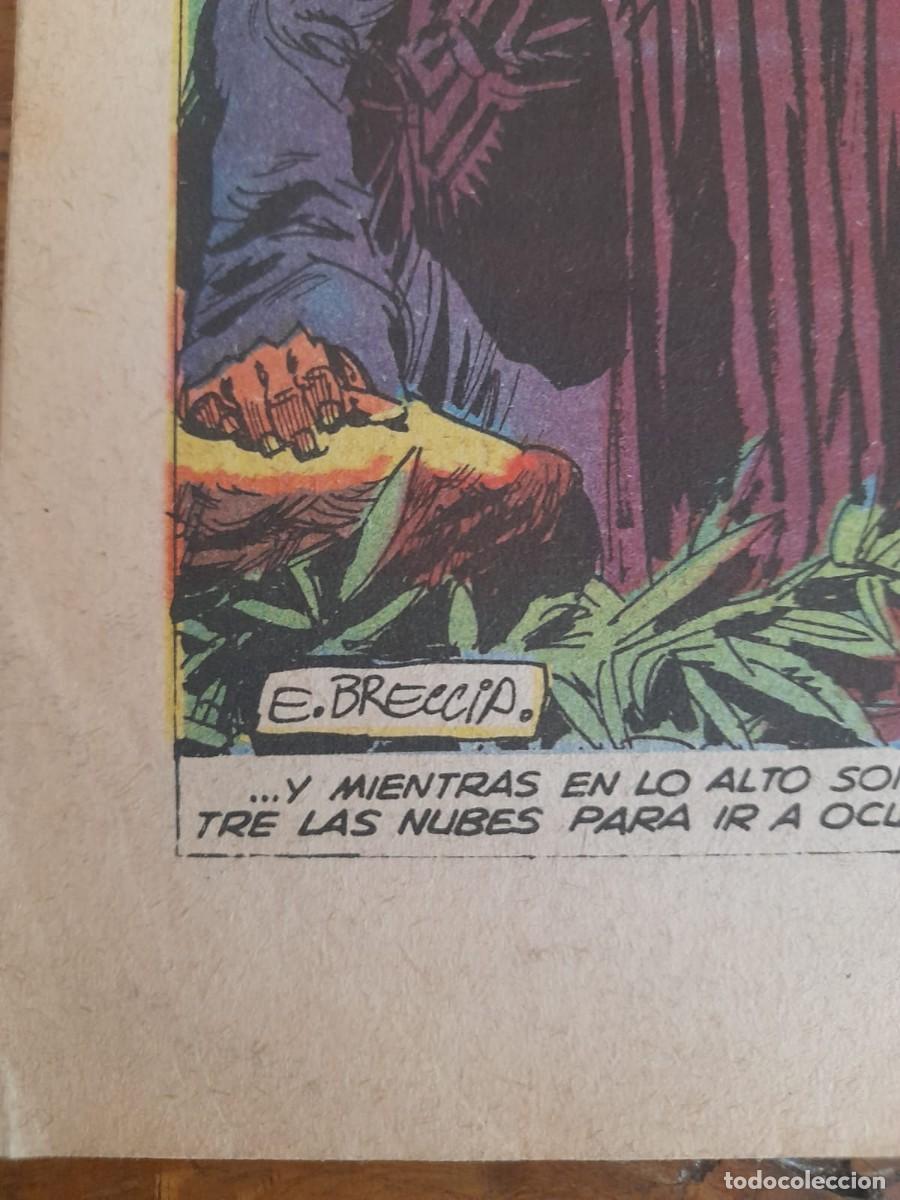 Tebeos: Enrique Breccia: Vida de la Virgen Mar&iacute;a - Foto 2