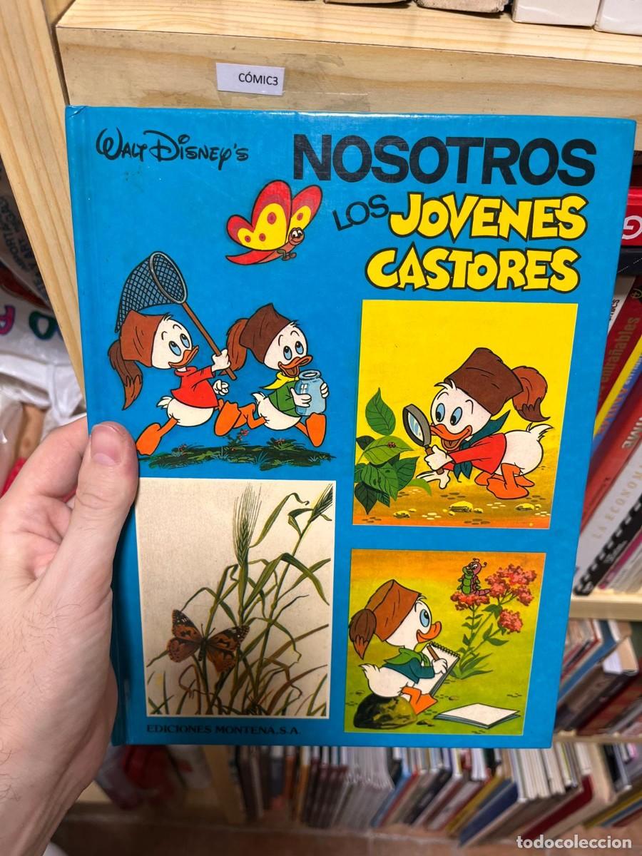 Tebeos: COMIC3 - NOSOTROS LOS JOVENES CASTORES, CARTONE - Foto 1