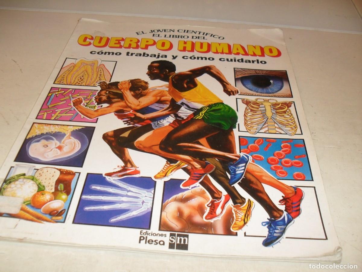 Tebeos: EL JOVEN CIENTIFICO:EL LIBRO DEL CUERPO HUMANO.EDICIONES PLESA.A&Ntilde;O 1985 - Foto 1