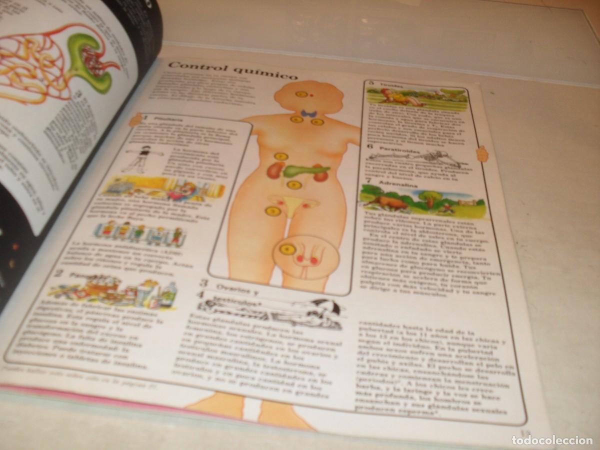 Tebeos: EL JOVEN CIENTIFICO:EL LIBRO DEL CUERPO HUMANO.EDICIONES PLESA.A&Ntilde;O 1985 - Foto 2