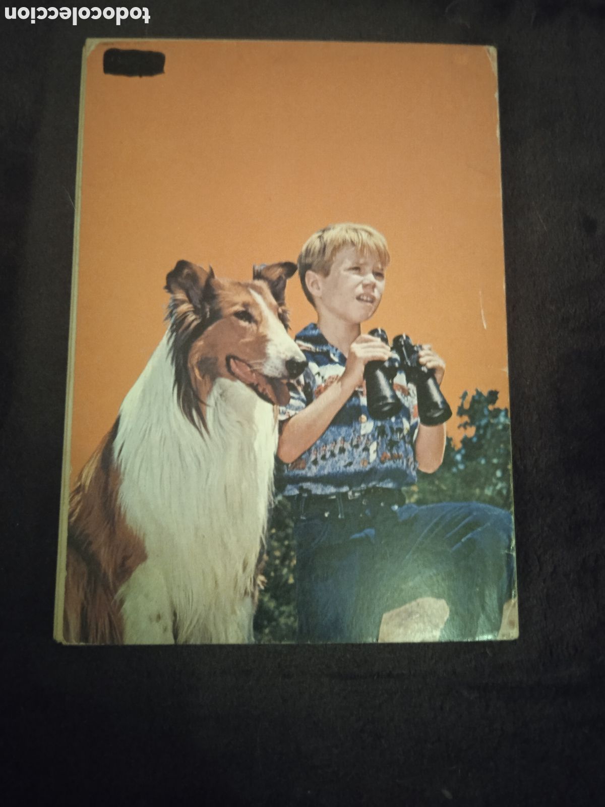 Tebeos: LASSIE II - COLECCI&Oacute;N MICO -ED. FHER - Foto 2