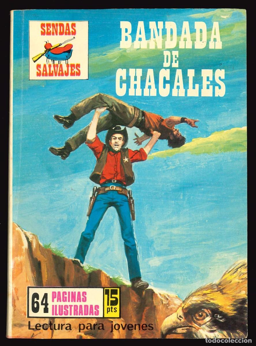 Tebeos: SENDAS SALVAJES - PRODUCCIONES EDITORIALES / N&Uacute;MERO 295 - Foto 1