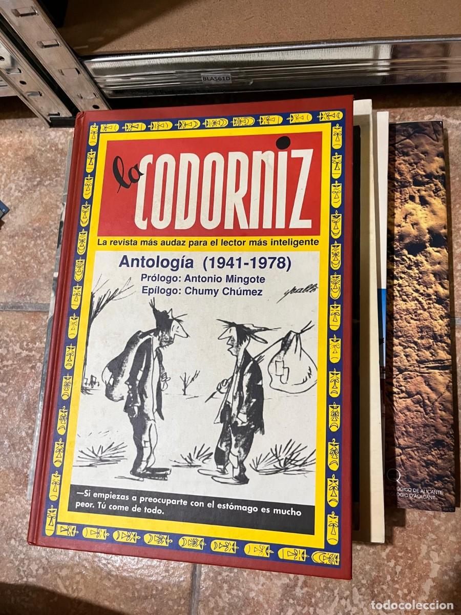 Tebeos: Blas61D la codorniz. Antolog&iacute;a (1941-1978) - Foto 1