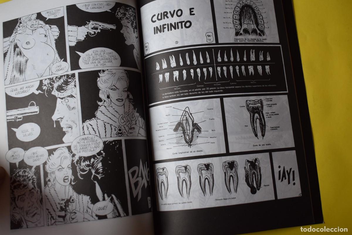 Tebeos: Comic Torpedo 1936. Tebeos Gl&eacute;nat. Bernet. N. &ordm; 19. Espa&ntilde;ol - Foto 4