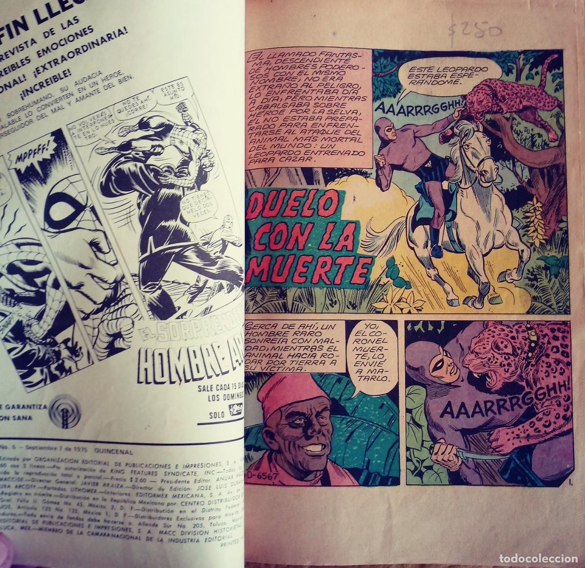 Tebeos: El fantasma 6 (1975 Macc Division) - Foto 2
