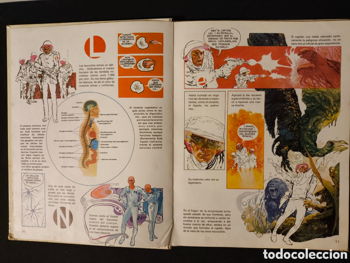 Tebeos: Conocimientos del cuerpo humano afha - Foto 3