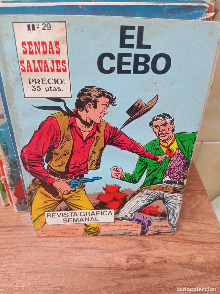 Tebeos: SENDAS SALVAJES - N&ordm; 29 - ANTALBE