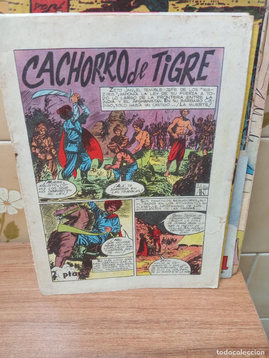 Tebeos: CACHORRO DE TIGRE- BOIXHER - ORIGINAL