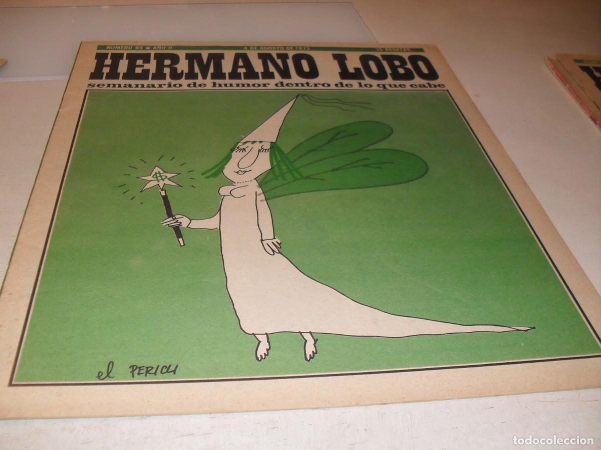 Tebeos: HERMANO LOBO N&ordm; 65,DE 213,HUMOR SATIRICO.PLEYADES EDITORES,1972