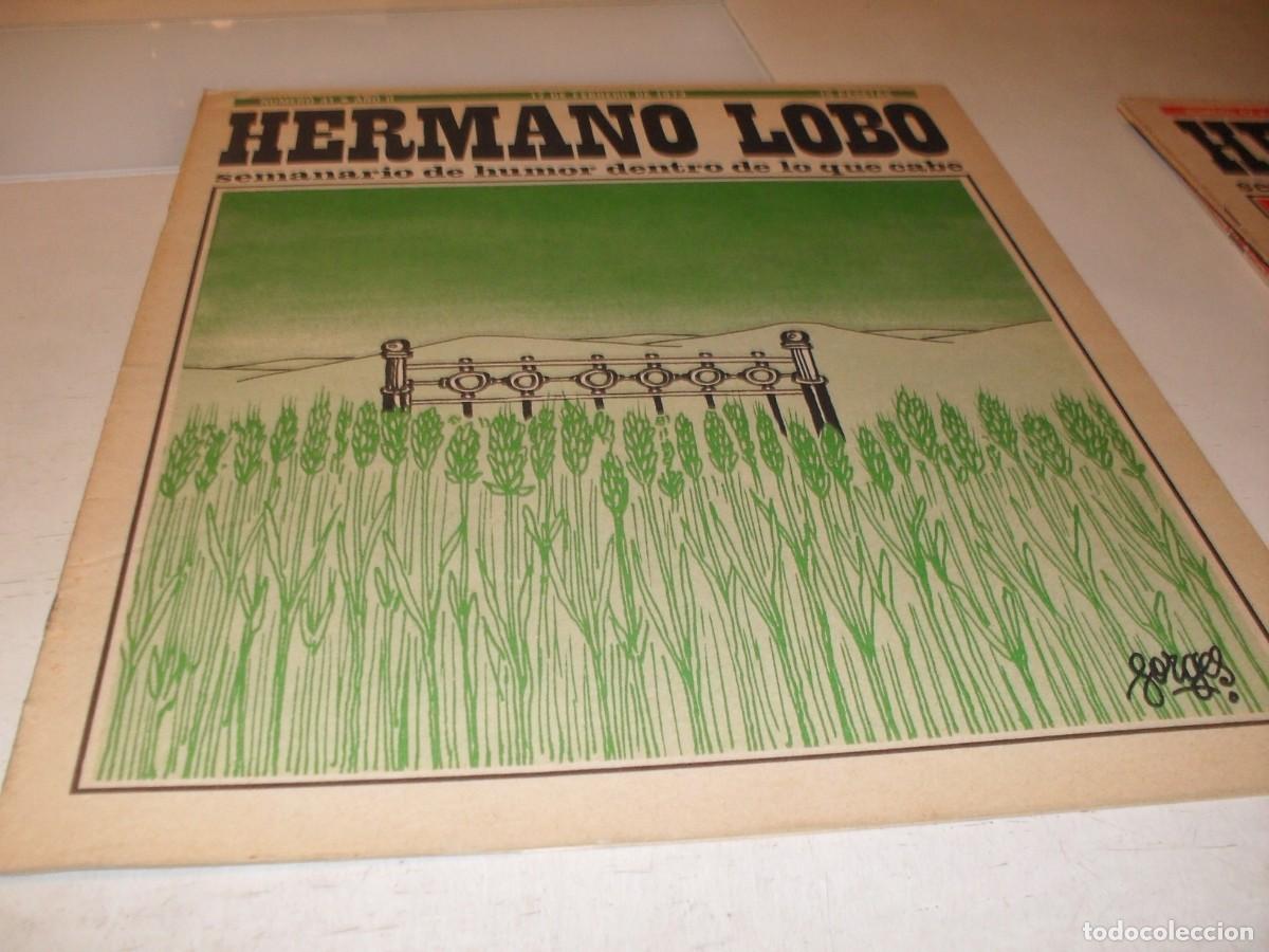 Tebeos: HERMANO LOBO N&ordm; 41,DE 213,HUMOR SATIRICO.PLEYADES EDITORES,1972